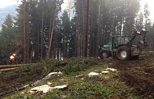 Holzhandarbeit Firma Schmidholz