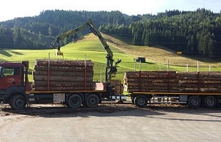 Holztransport LKW
