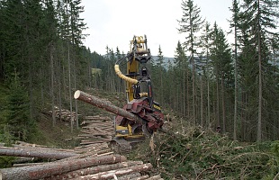 Seilbagger