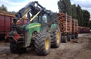 Traktor mit Holz